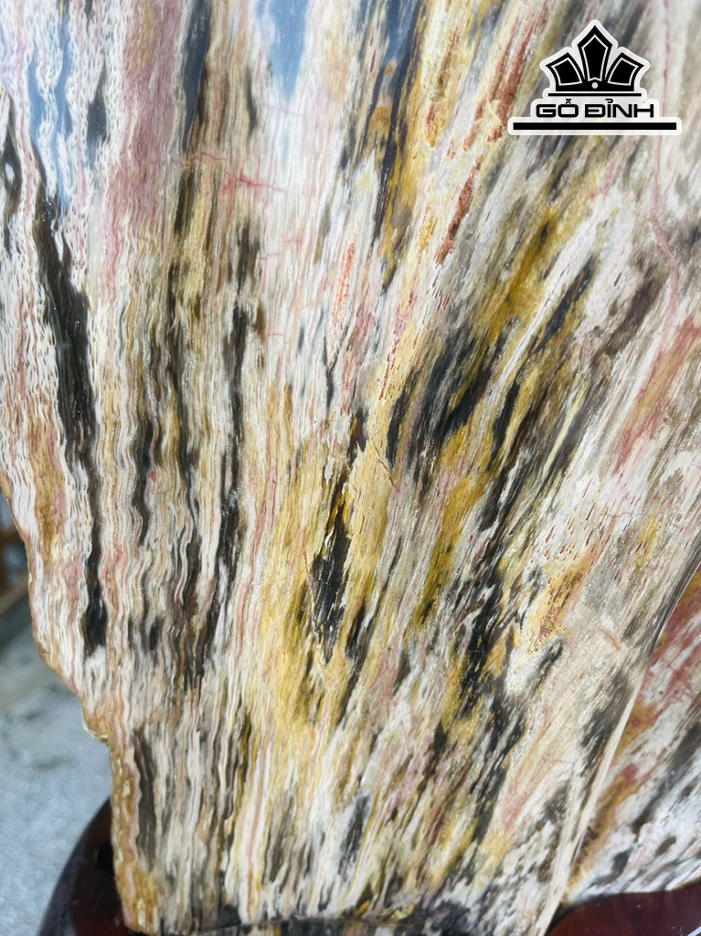 Tác Phẩm Gỗ Hóa Thạch Cao 93 (cm) 40kg