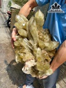 Tác Phẩm Đá Thạch Anh Vàng Cao 55 Ngang 50 (cm) 39,95kg