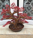 Cây Tài Lộc Đá San Hô Cao 41 Ngang 39 Sâu 8,6 (cm)