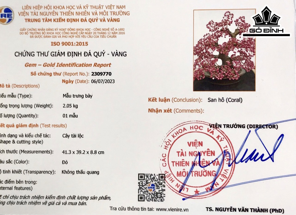 Cây Tài Lộc Đá San Hô Cao 41 Ngang 39 Sâu 8,6 (cm)