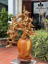 Bình Hoa Gỗ Hương Cao 98 Ngang 77 Sâu 43 (cm)