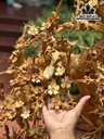 Bình Hoa Gỗ Hương Cao 98 Ngang 77 Sâu 43 (cm)
