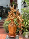 Bình Hoa Gỗ Hương Cao 98 Ngang 77 Sâu 43 (cm)