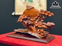 Song Hạc Quần Tùng Gỗ Trắc Cao 25 Ngang 34 Sâu 12 (cm)