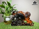 Tượng Phật Di Lặc Kéo Bao Tiền Gỗ Trắc Cao 20 Ngang 30 Sâu 9 (cm)