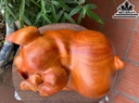 Tượng Heo Phong Thủy Gỗ Hương Ngang 28 Cao 23 Sâu 20 (cm)