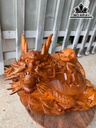 Tượng Long Quy Gỗ Hương Ngang 50 Cao 31 Sâu 33 (cm)