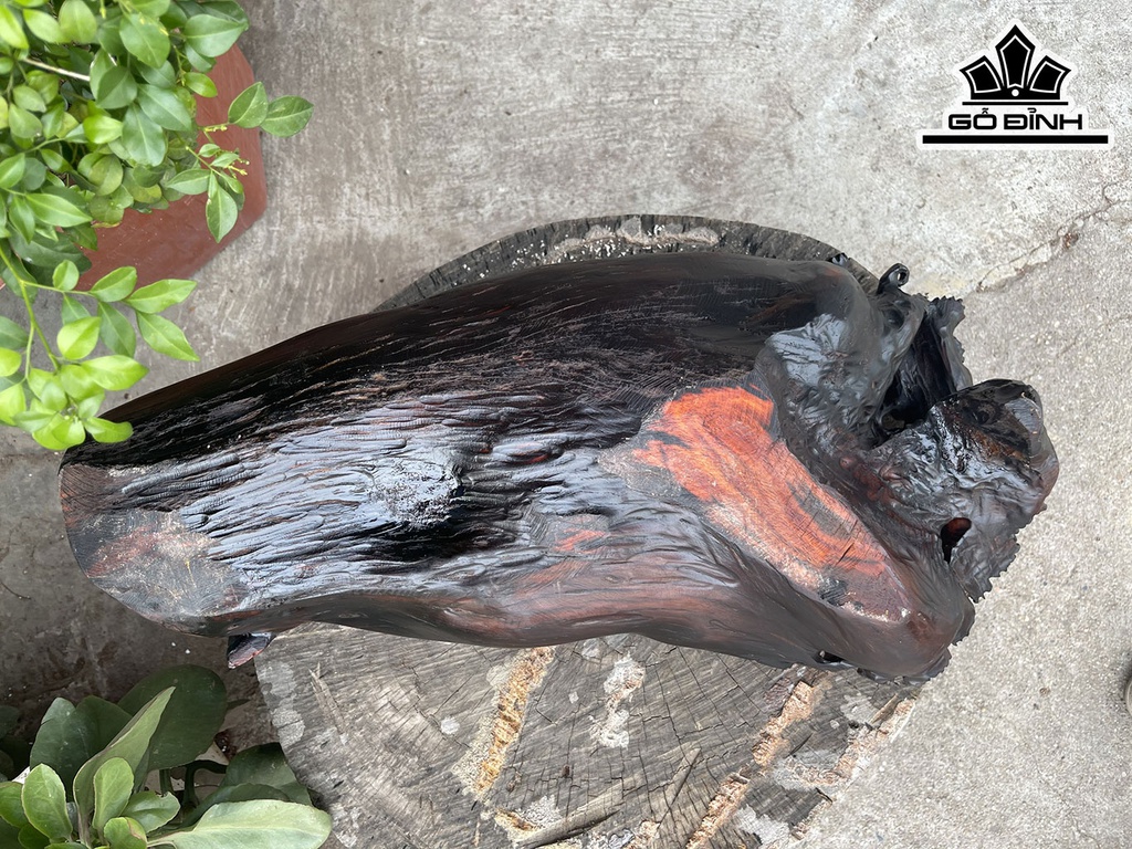 Khay Trà Gỗ Trắc Cao 18 Ngang 40 Sâu 25 (cm)