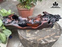 Khay Trà Gỗ Trắc Cao 19 Ngang 50 Sâu 25 (cm)