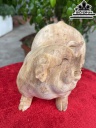 Tượng Heo Phong Thủy Gỗ Ngọc Am Cao 10 Ngang 19 Sâu 11 (cm)