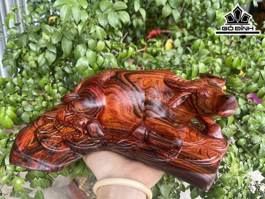 Tượng Trâu Gỗ Trắc Cao 11 Ngang 24 Sâu 15 (cm)