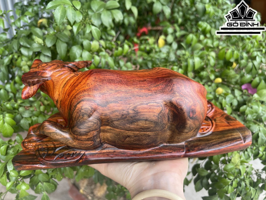 Tượng Trâu Gỗ Trắc Cao 11 Ngang 24 Sâu 15 (cm)