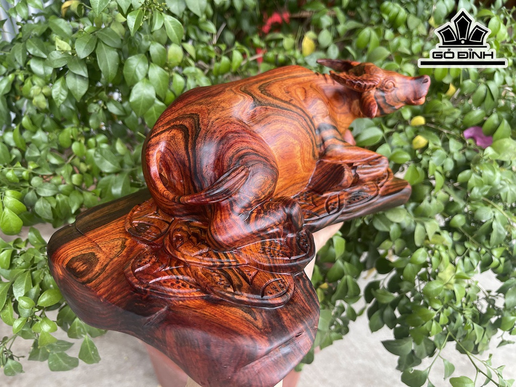 Tượng Trâu Gỗ Trắc Cao 11 Ngang 24 Sâu 15 (cm)