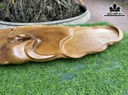 Khay Trà Gỗ Bách Xanh Cao 10 Ngang 88 Sâu 30 (cm)