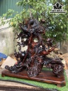 Tượng Rồng ( Nhất Long) Gỗ Trắc Cao 80 Ngang 66 Sâu 32 (cm)
