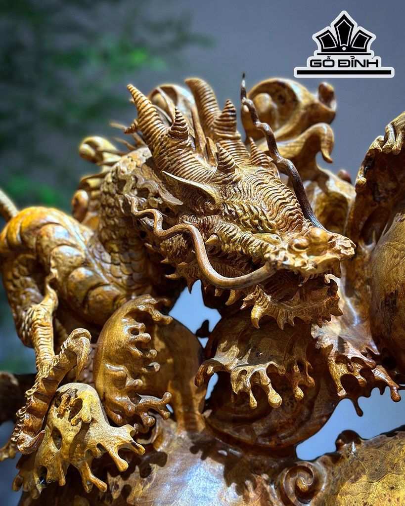 Tượng Nhất Long Gỗ Nu Hương Cao 54 Ngang 60 Sâu 21 (cm)