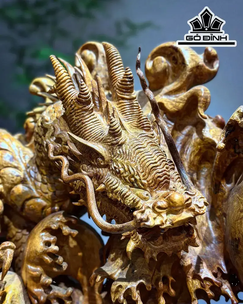 Tượng Nhất Long Gỗ Nu Hương Cao 54 Ngang 60 Sâu 21 (cm)