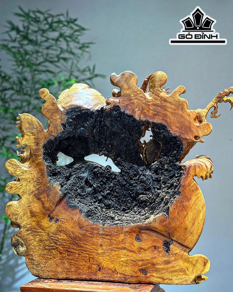 Tượng Nhất Long Gỗ Nu Hương Cao 54 Ngang 60 Sâu 21 (cm)