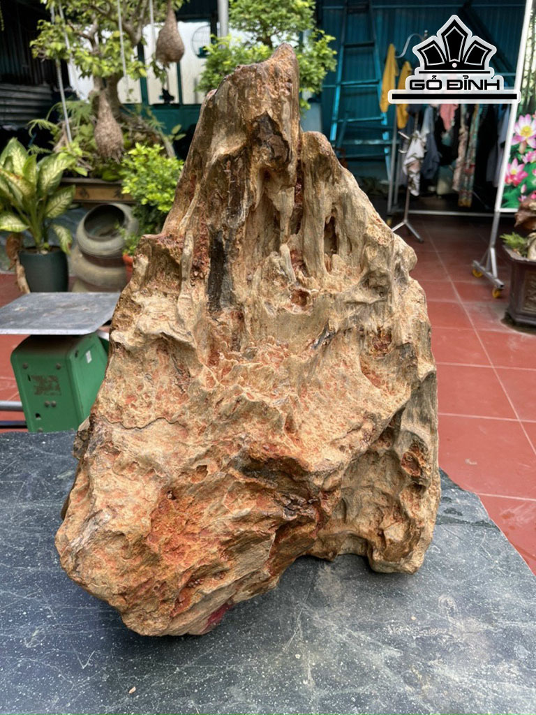 Tác Phẩm Gỗ Hóa Thạch Cao 52 Ngang 36 (cm) 52kg