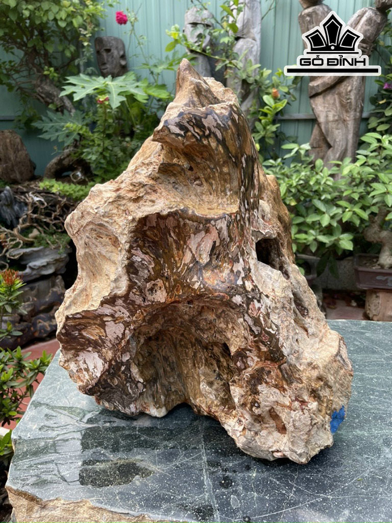 Tác Phẩm Gỗ Hóa Thạch Cao 52 Ngang 36 (cm) 52kg