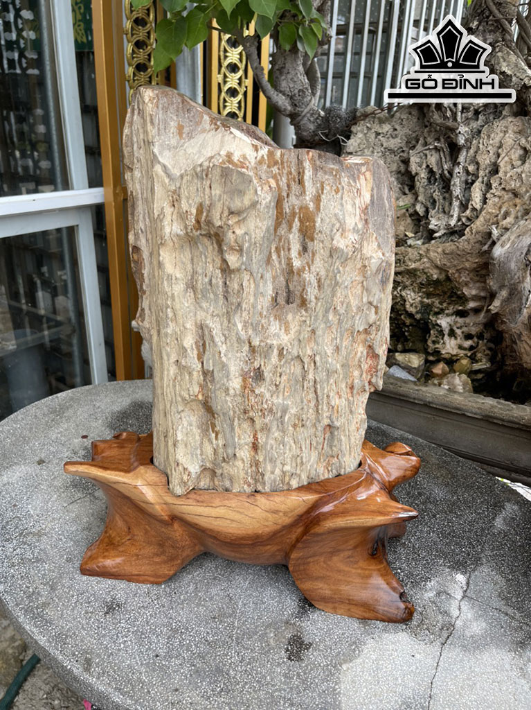 Tác Phẩm Gỗ Hóa Thạch Cao 56 (cm) 36,5kg