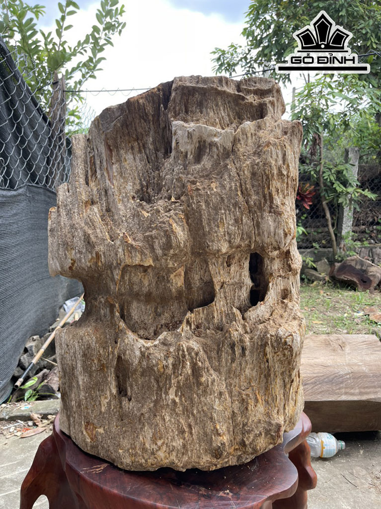 Tác Phẩm Gỗ Hóa Thạch Cao 73 Đường Kính 55 (cm) 200kg