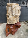 Tác Phẩm Gỗ Hóa Thạch Cao 73 Đường Kính 55 (cm) 200kg