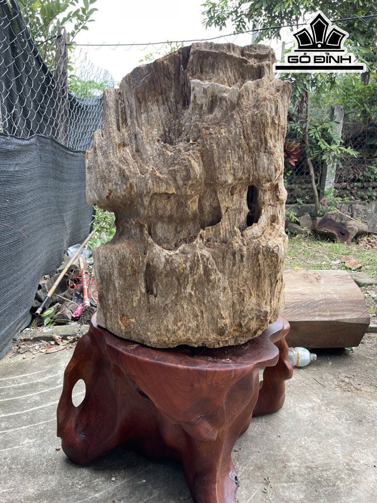 Tác Phẩm Gỗ Hóa Thạch Cao 73 Đường Kính 55 (cm) 200kg
