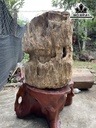 Tác Phẩm Gỗ Hóa Thạch Cao 73 Đường Kính 55 (cm) 200kg
