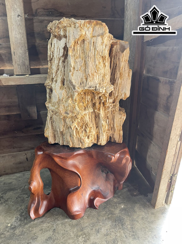 Tác Phẩm Gỗ Hóa Thạch Cao 73 Đường Kính 55 (cm) 200kg
