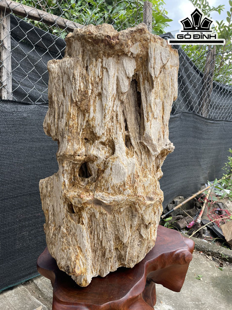Tác Phẩm Gỗ Hóa Thạch Cao 73 Đường Kính 55 (cm) 200kg
