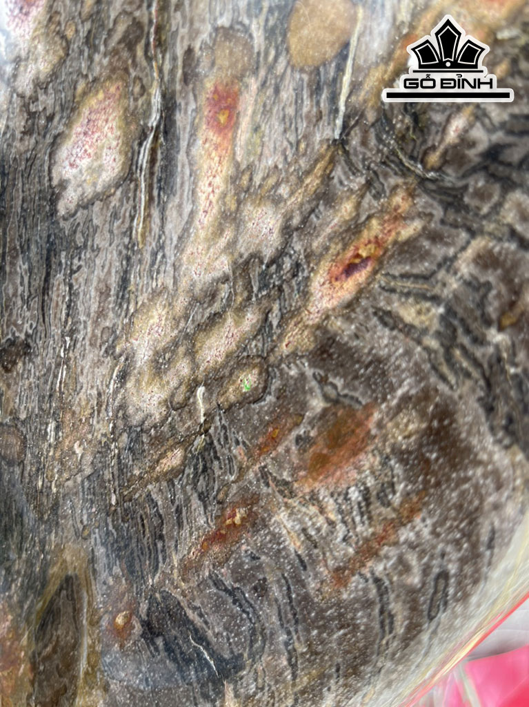 Tác Phẩm Gỗ Hóa Thạch Cao 86 (cm) 60kg