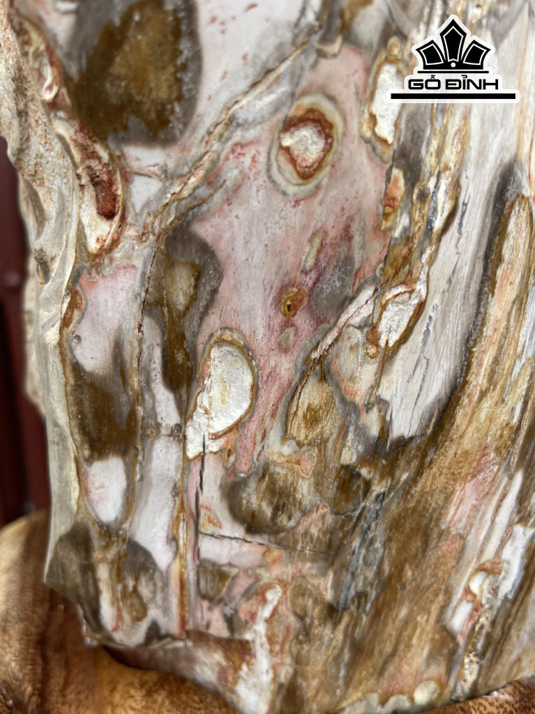 Tác Phẩm Gỗ Hóa Thạch Cao 120 (cm)