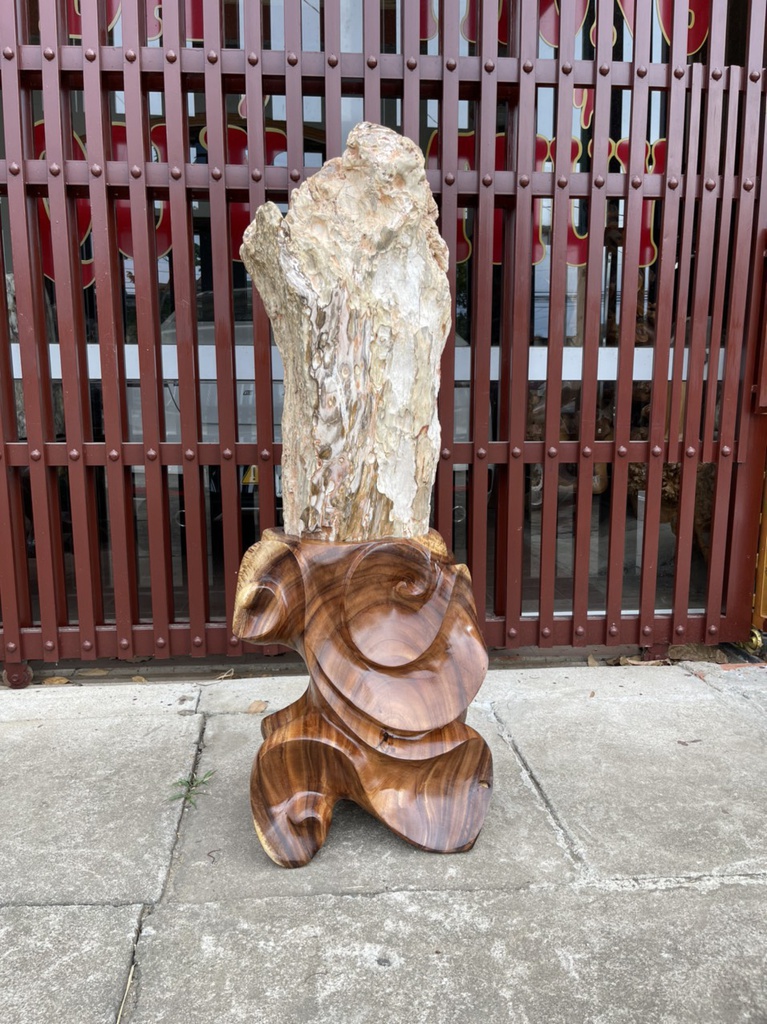 Tác Phẩm Gỗ Hóa Thạch Cao 120 (cm)