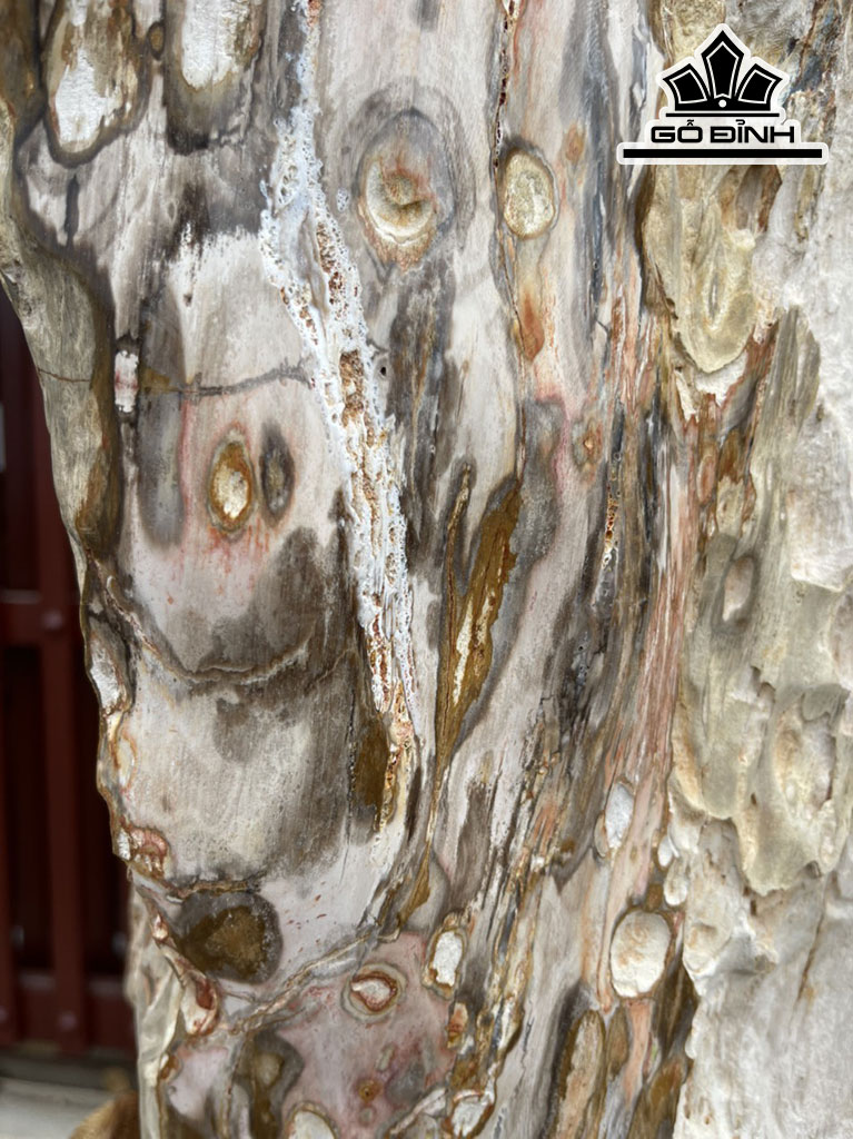 Tác Phẩm Gỗ Hóa Thạch Cao 120 (cm)