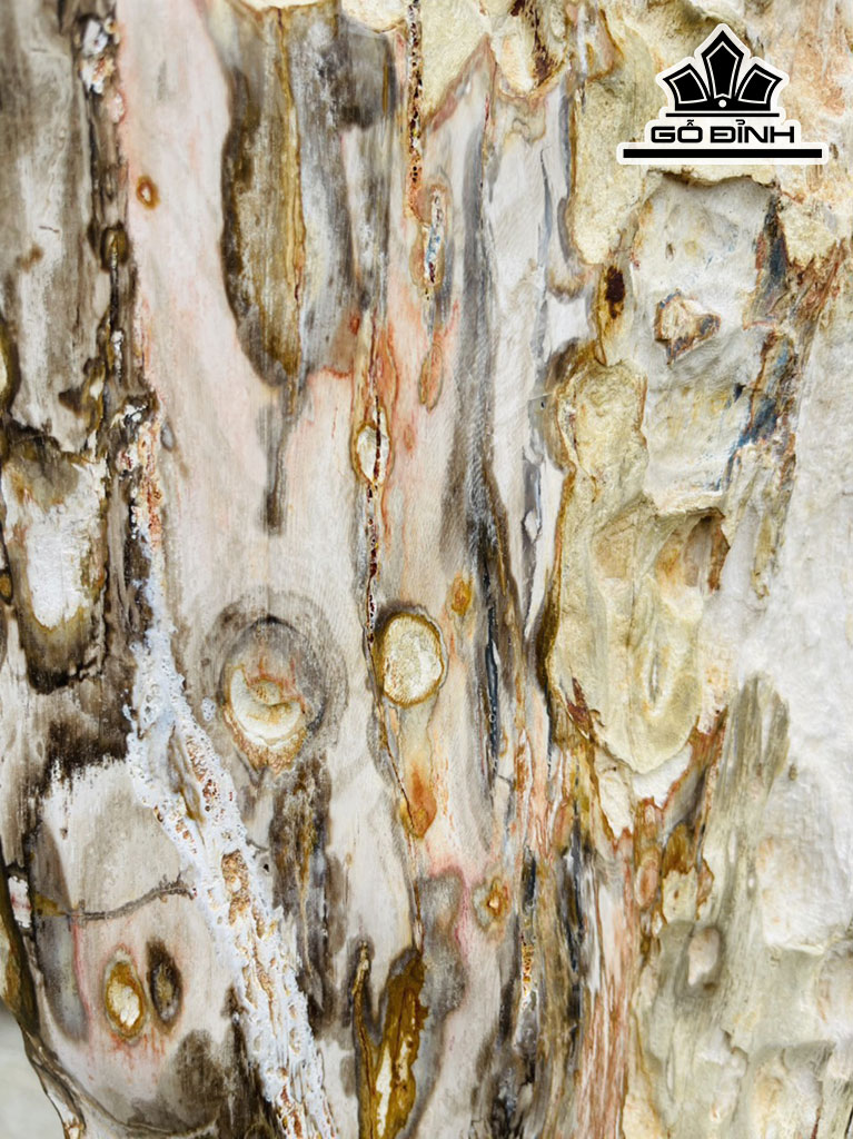 Tác Phẩm Gỗ Hóa Thạch Cao 120 (cm)