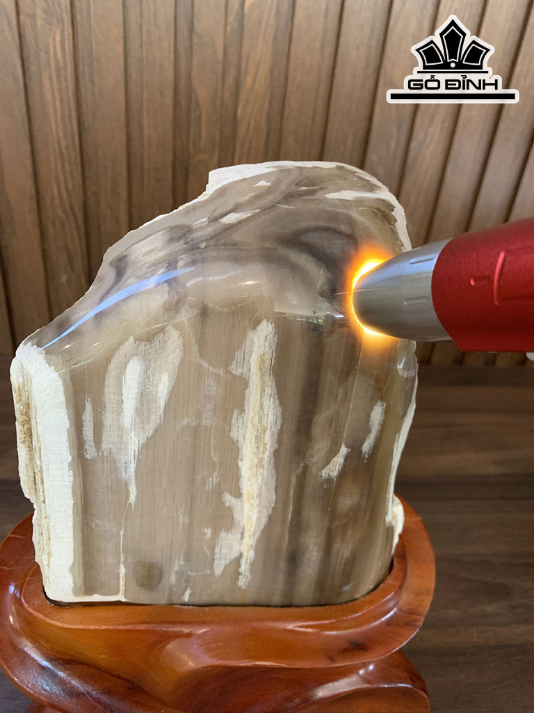 Tác Phẩm Gỗ Hóa Thạch Cao 28 Ngang 20 (cm) 2,5kg