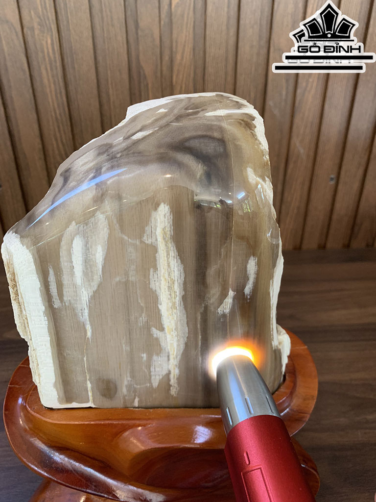Tác Phẩm Gỗ Hóa Thạch Cao 28 Ngang 20 (cm) 2,5kg