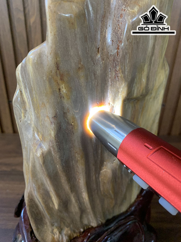 Tác Phẩm Gỗ Hóa Thạch Cao 28 Ngang 20 (cm) 9kg