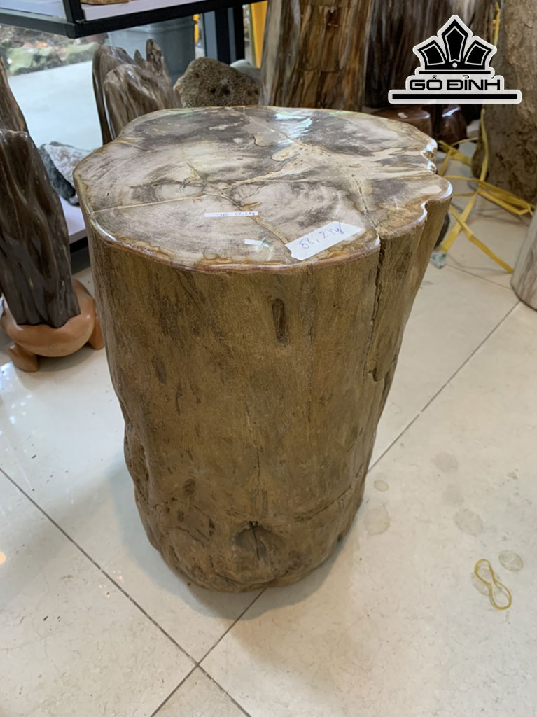 Tác Phẩm Gỗ Hóa Thạch Cao 40 Đường Kính 30 (cm) 58kg