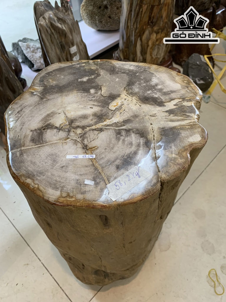 Tác Phẩm Gỗ Hóa Thạch Cao 40 Đường Kính 30 (cm) 58kg