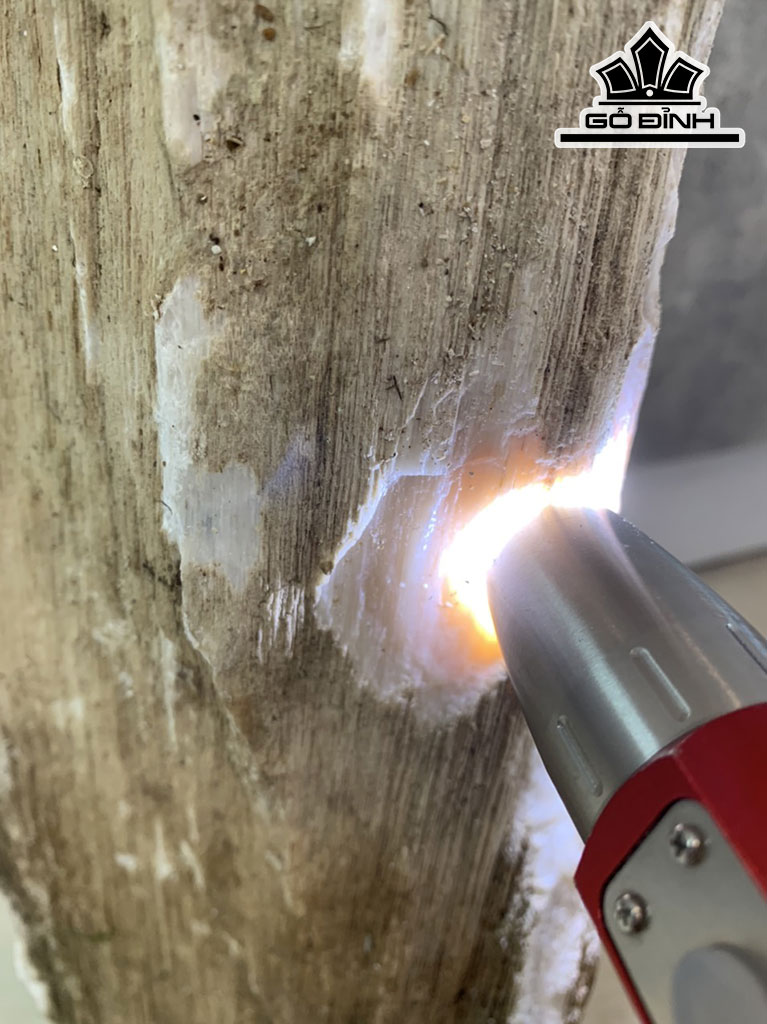 Tác Phẩm Gỗ Hóa Thạch Cao 75 Ngang 25 (cm) 13kg