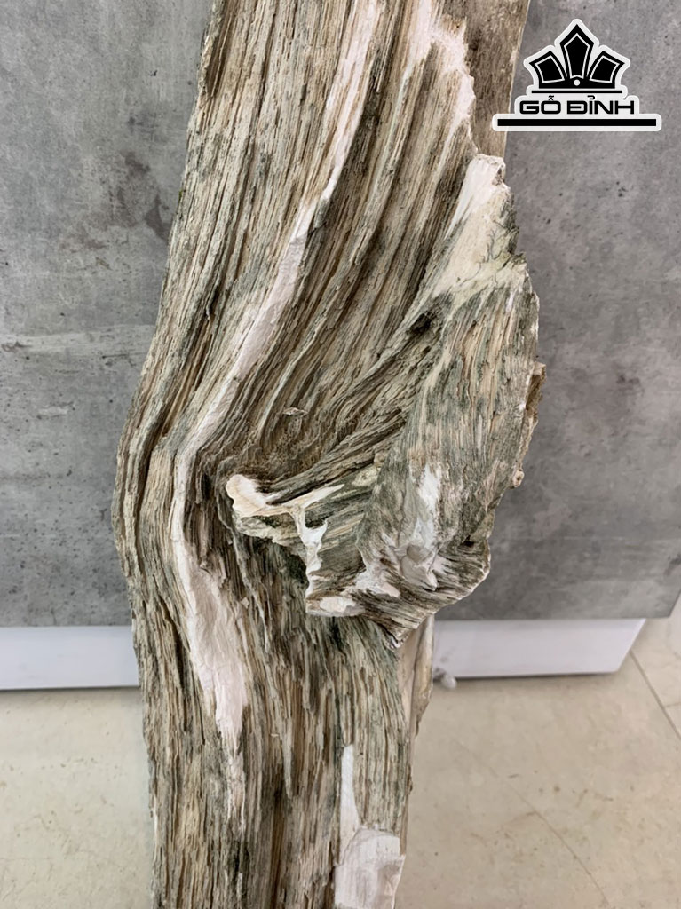Tác Phẩm Gỗ Hóa Thạch Cao 75 Ngang 25 (cm) 13kg