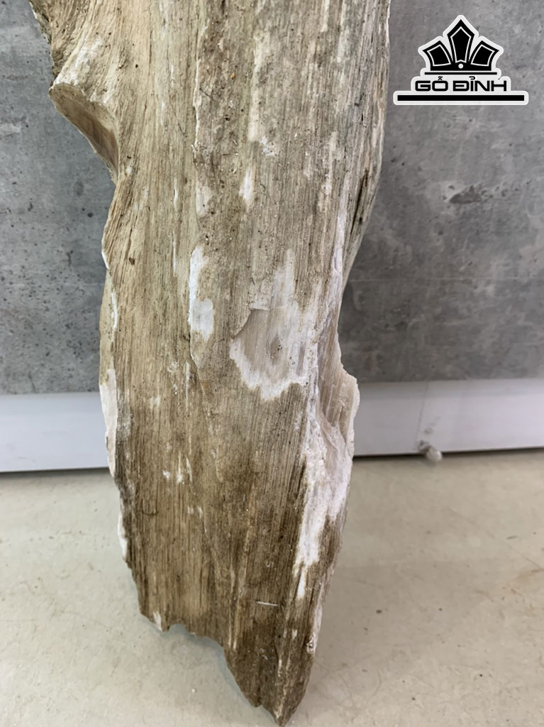 Tác Phẩm Gỗ Hóa Thạch Cao 75 Ngang 25 (cm) 13kg