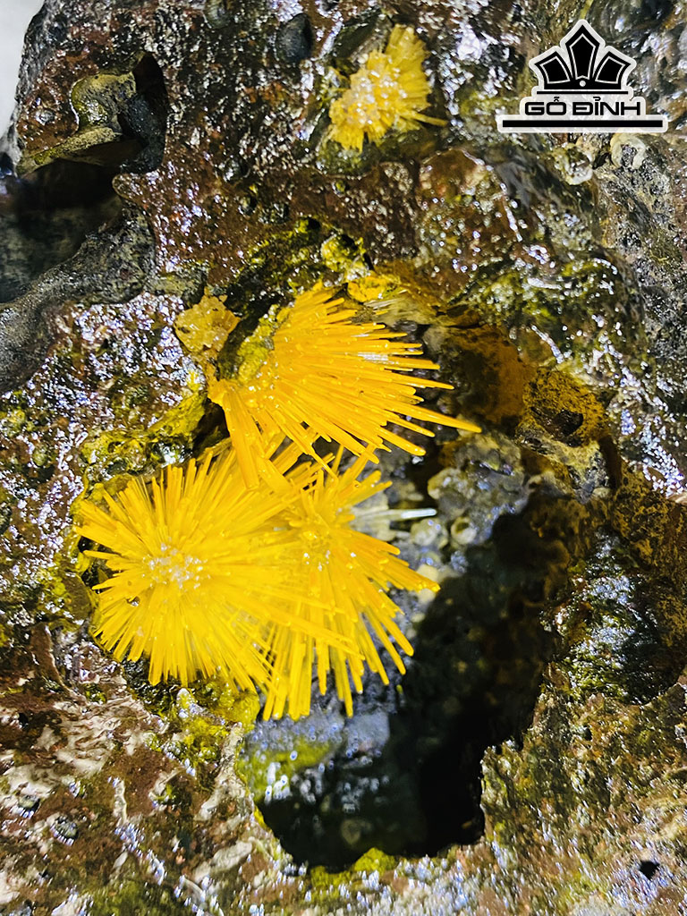 Bông Hoa Ưu Đàm Đá Trầm Tích Cao 22 Ngang 17 (cm) 2,8kg