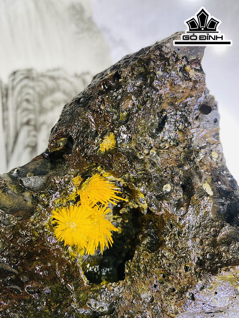 Bông Hoa Ưu Đàm Đá Trầm Tích Cao 22 Ngang 17 (cm) 2,8kg