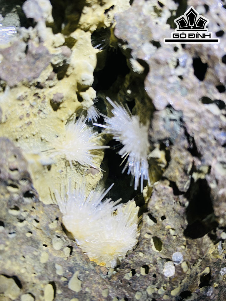 Tác Phẩm Đá Trầm Tích Cao 23 Ngang 23 (cm) 5,1kg