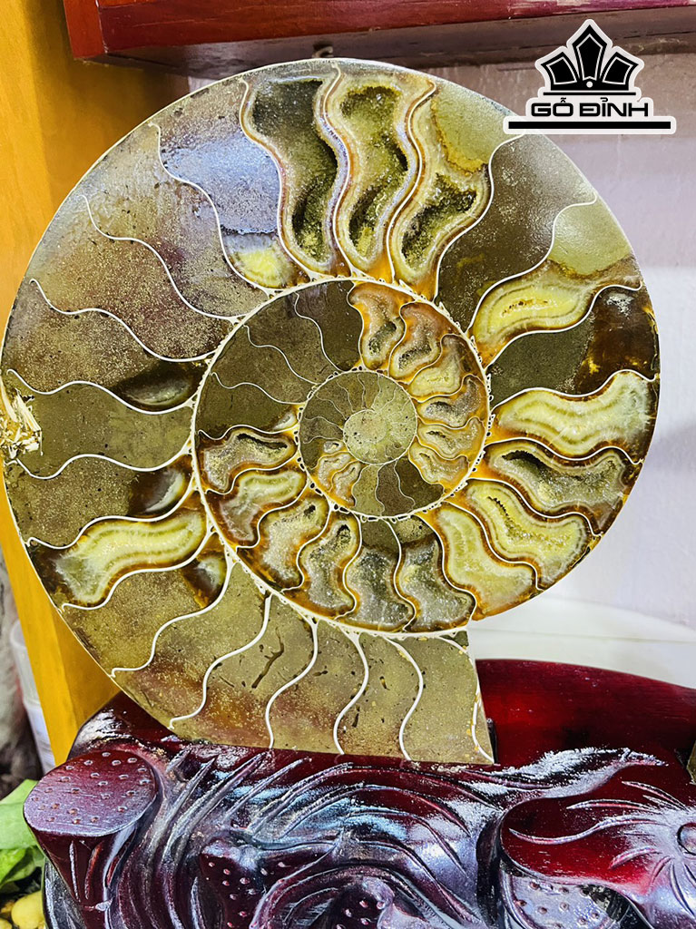 Tác Phẩm Ốc Anh Vũ Hóa Ngọc Cao 33 Ngang 42 (cm) 5,5kg