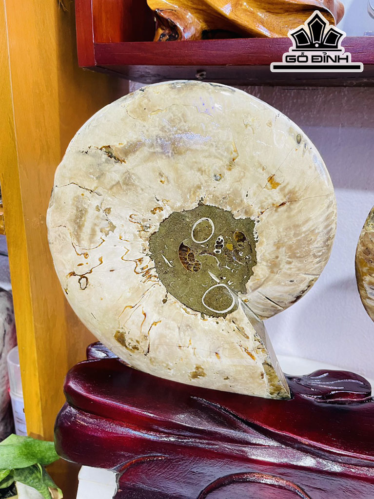 Tác Phẩm Ốc Anh Vũ Hóa Ngọc Cao 33 Ngang 42 (cm) 5,5kg