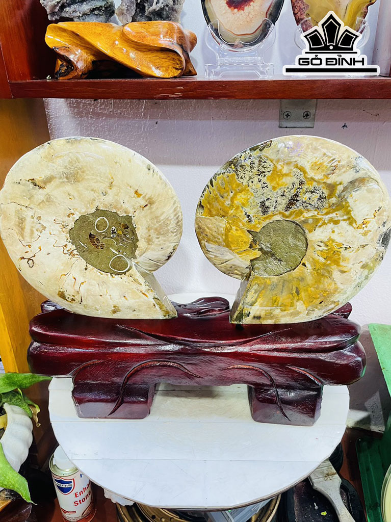 Tác Phẩm Ốc Anh Vũ Hóa Ngọc Cao 33 Ngang 42 (cm) 5,5kg